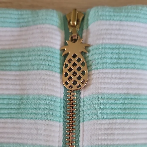 Lilly Pulitzer Mint and Pink Striped Cap-Sleeve Shift Dress - Picture 8 of 11